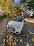 Suzuki Alto 1.0i GL Airco Blanc - thumbnail 1
