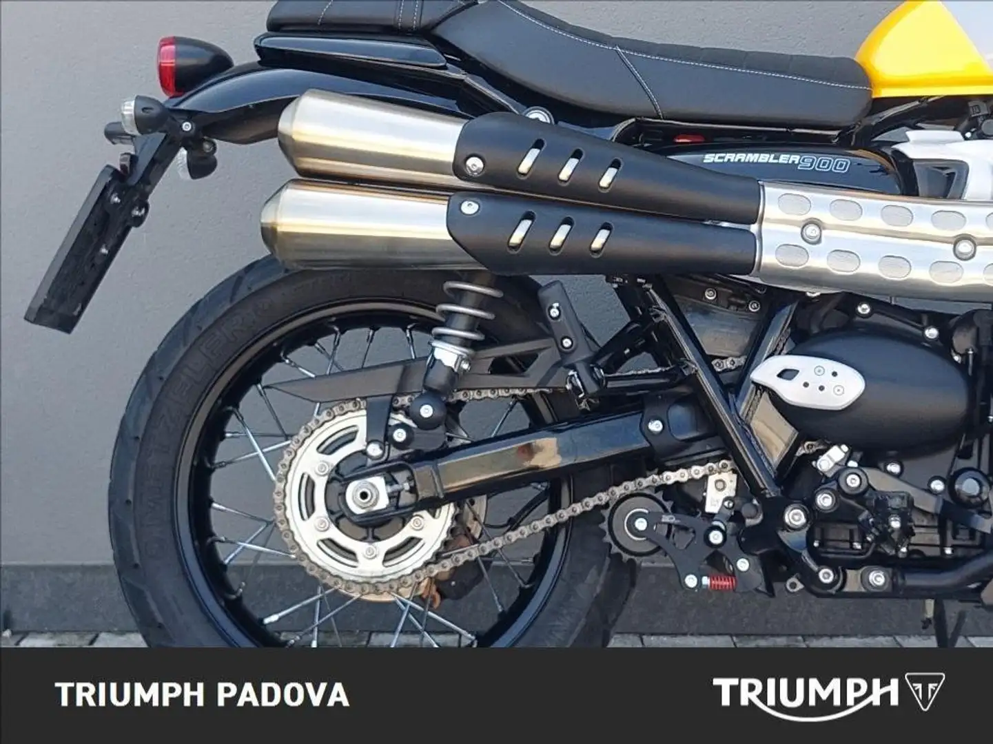 Triumph Scrambler 900 Giallo - 2