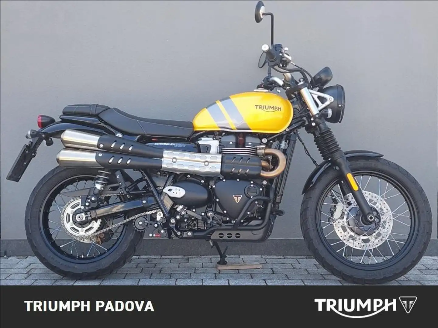 Triumph Scrambler 900 Giallo - 1