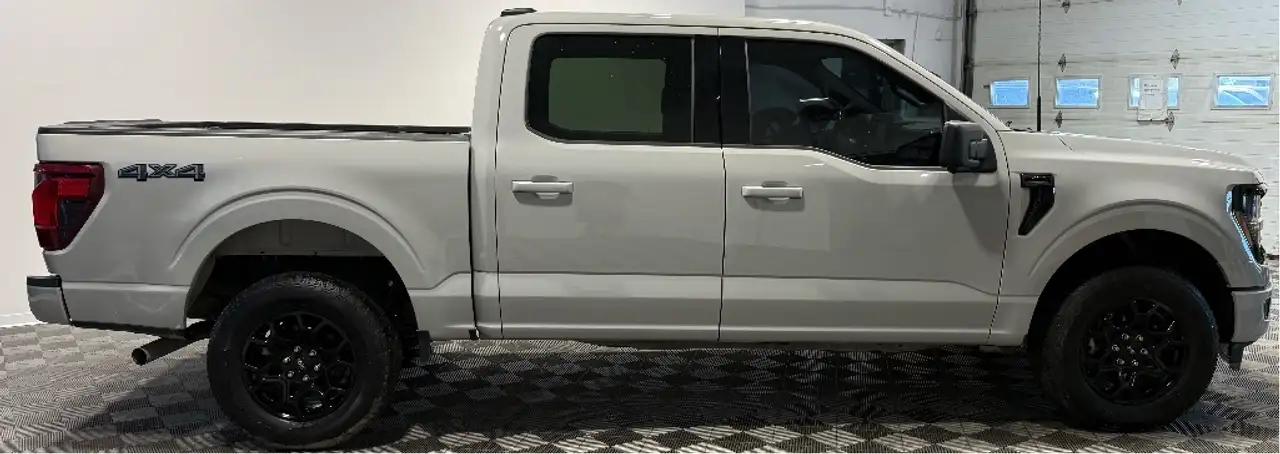Ford F 150 photo Ford F 150