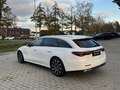 Mercedes-Benz E 300 E 300 T de Exclusive Premium AHK DigiLight Alb - thumbnail 6
