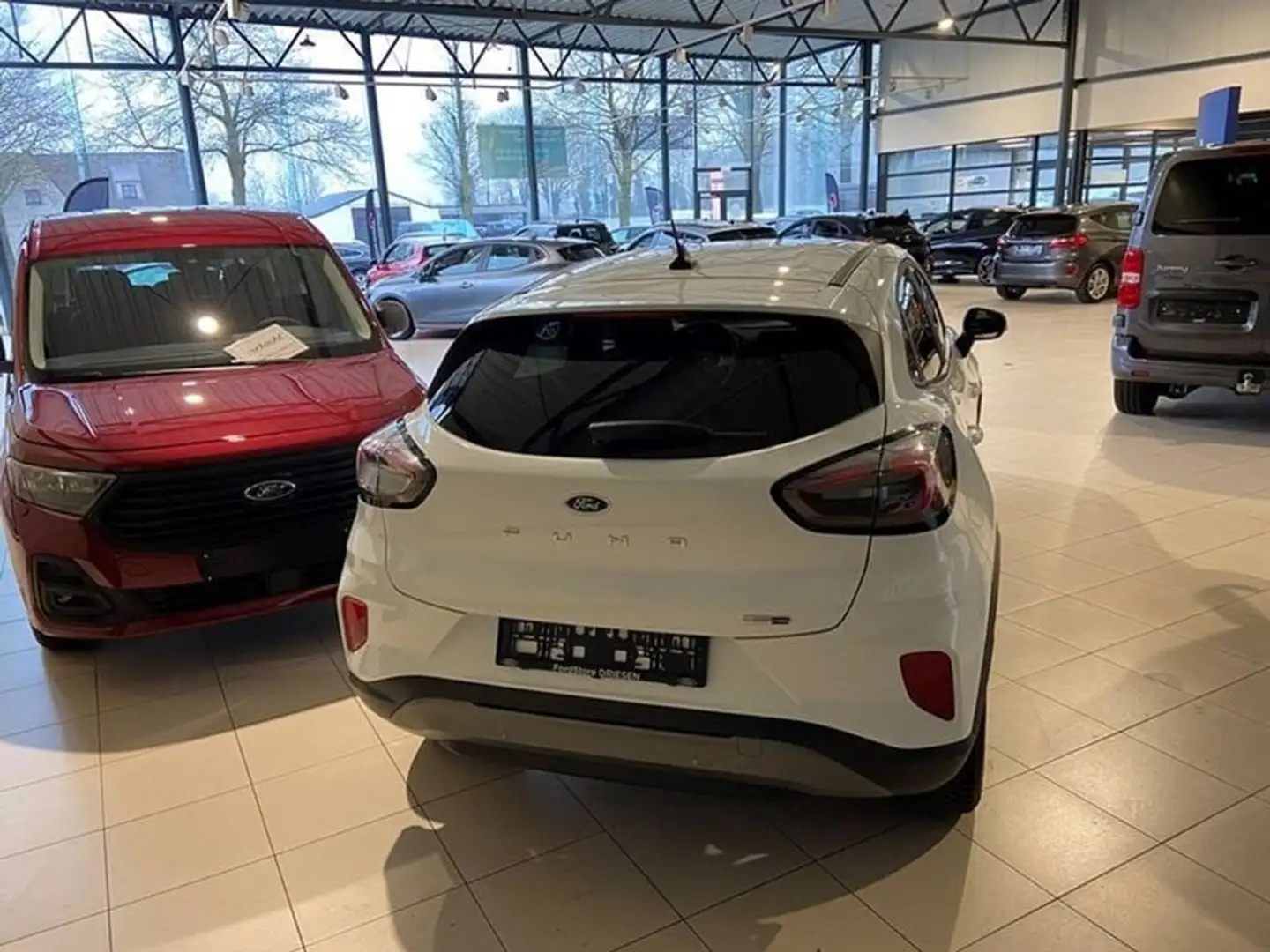 Ford Puma Ecoboost Titanium bij Driesen Bree Blanc - 2
