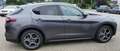 Alfa Romeo Stelvio 2.2 Diesel 16V 140W Super AT8-Q4-AHK- Grau - thumbnail 8