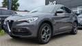 Alfa Romeo Stelvio 2.2 Diesel 16V 140W Super AT8-Q4-AHK- Grau - thumbnail 1