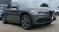 Alfa Romeo Stelvio 2.2 Diesel 16V 140W Super AT8-Q4-AHK- Grau - thumbnail 2