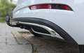 Skoda Karoq Karoq 1.5 TSI Sportl. Business Wit - thumbnail 7