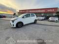 Kia Picanto 1.0 GDi 5 porte Urban Bianco - thumbnail 2