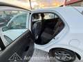 Kia Picanto 1.0 GDi 5 porte Urban Bianco - thumbnail 13