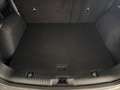 Ford Kuga Kuga 2.5 Full Hybrid 190 CV CVT AWD Vignale Grau - thumbnail 8
