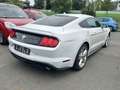 Ford Mustang Leder R.Cam Tempomat Klima Bílá - thumbnail 4