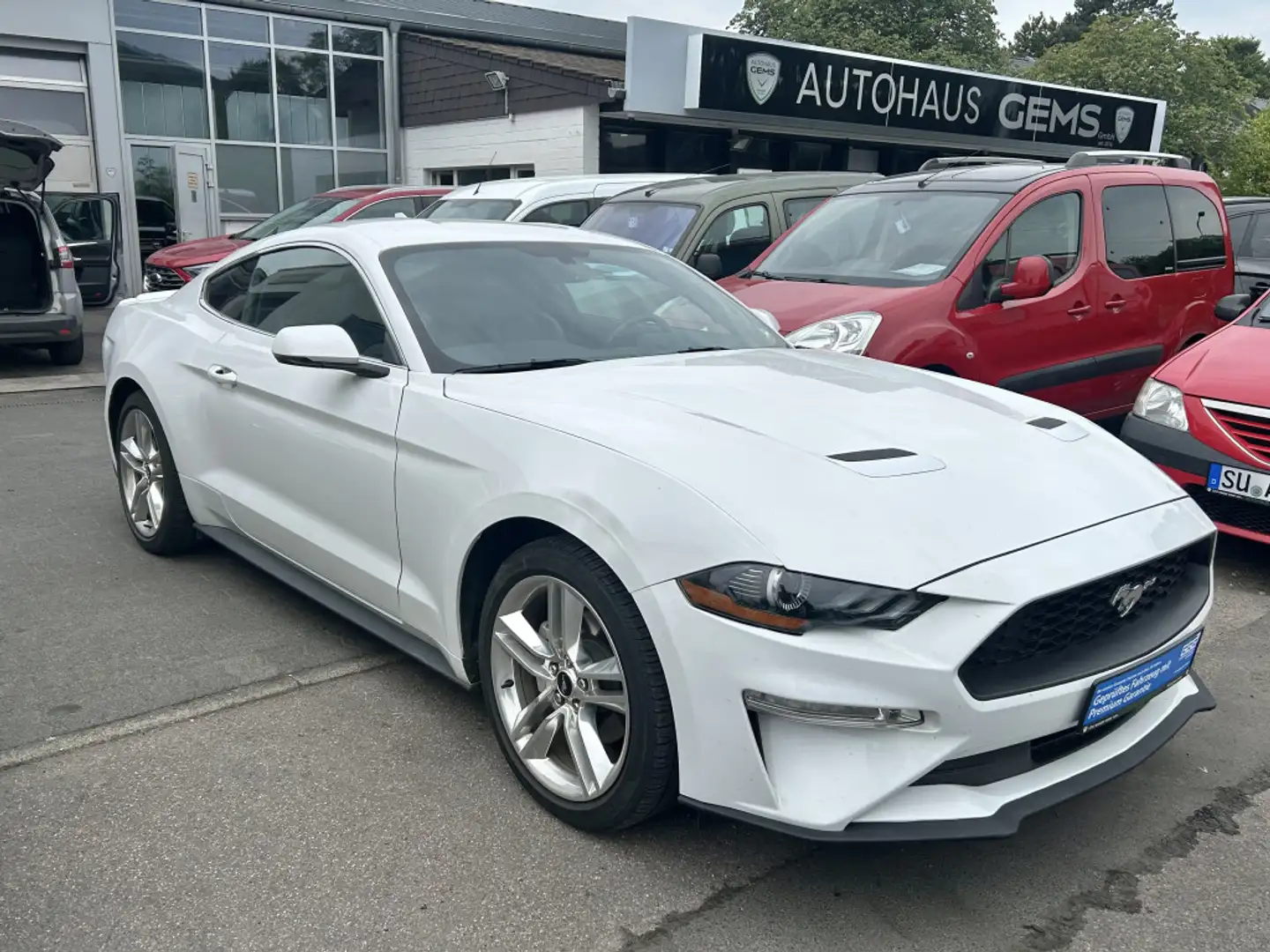Ford Mustang Leder R.Cam Tempomat Klima Bílá - 1