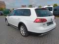 Volkswagen Golf VII Alltrack Variant 4Motion PanoDach Klima Weiß - thumbnail 5
