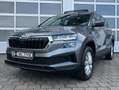 Skoda Karoq 1.5 TSI DSG Selection PANO KAM AHK 5JGAR Grau - thumbnail 30