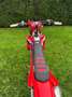 Honda CRF 450 Rouge - thumbnail 7