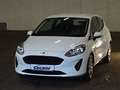 Ford Fiesta 1.0 EcoBoost S&S Aut. TREND Cool&Sound Weiß - thumbnail 2