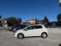 Fiat Punto Evo Fiat Punto Evo 1.3 Mjt 75 CV 5pGARANZIA Wit - thumbnail 4