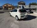 Fiat Punto Evo Fiat Punto Evo 1.3 Mjt 75 CV 5pGARANZIA Wit - thumbnail 3