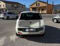Fiat Punto Evo Fiat Punto Evo 1.3 Mjt 75 CV 5pGARANZIA Wit - thumbnail 5