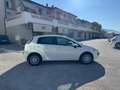 Fiat Punto Evo Fiat Punto Evo 1.3 Mjt 75 CV 5pGARANZIA Wit - thumbnail 7