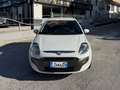 Fiat Punto Evo Fiat Punto Evo 1.3 Mjt 75 CV 5pGARANZIA Wit - thumbnail 6