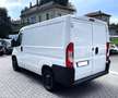 Fiat Ducato 2.0 Hdi 130Cv L1H1 // Passo Corto Tetto Basso L1 Weiß - thumbnail 8