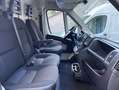 Fiat Ducato 2.0 Hdi 130Cv L1H1 // Passo Corto Tetto Basso L1 Wit - thumbnail 12