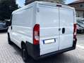 Fiat Ducato 2.0 Hdi 130Cv L1H1 // Passo Corto Tetto Basso L1 Weiß - thumbnail 6