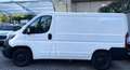 Fiat Ducato 2.0 Hdi 130Cv L1H1 // Passo Corto Tetto Basso L1 Wit - thumbnail 1