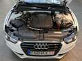 Audi A5 2.0 TDI S-Line Sport Selection Bi-Xenon Navi Weiß - thumbnail 40