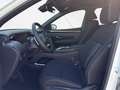 Hyundai TUCSON *** TREND LINE PLUS *** 48V *** Gesamt 153 PS *** - thumbnail 24