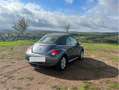 Volkswagen New Beetle Cabriolet 1.6 United - thumbnail 3