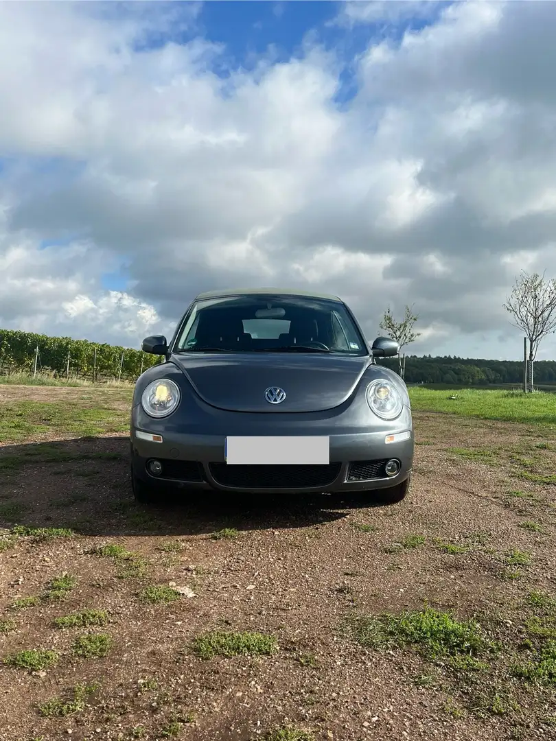 Volkswagen New Beetle Cabriolet 1.6 United - 2
