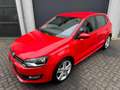 Volkswagen Polo 1.4-16V Comfortline Climate Control/Stoelverwarmin Rouge - thumbnail 3