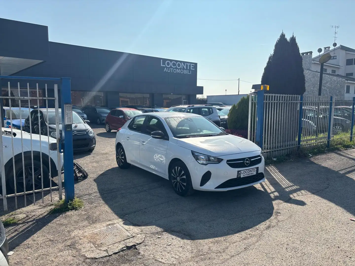 Opel Corsa Elegance VARI ALLESTIMENTI E COLORI IN SEDE Bianco - 1