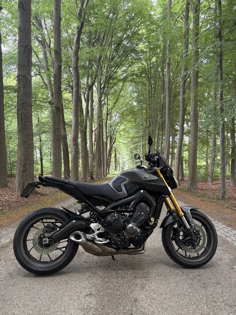 Yamaha MT-09 - 2