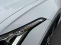 Volkswagen Tiguan 1.5 TSI 150PK DSG 3xR-Line•Pano•Trekhaak Weiß - thumbnail 8