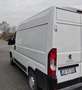 Peugeot Boxer Bianco - thumbnail 4