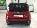 Fiat Panda S9 1.0  Hybrid Pandina - PROMO LUGLIO + TARGA Rouge - thumbnail 7