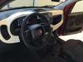 Fiat Panda S9 1.0  Hybrid Pandina - PROMO LUGLIO + TARGA Rouge - thumbnail 11