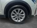 Audi Q3 Sportback 35 2.0 tdi Business Plus s-tronic Grau - thumbnail 10