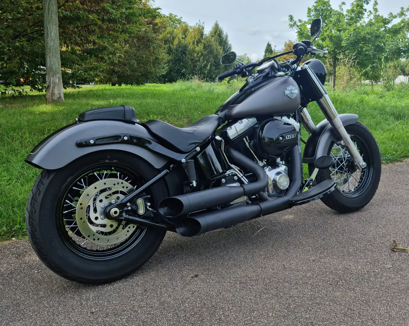 Harley-Davidson Softail Slim Grau/schwarze Softail Slim (FLS) - 1