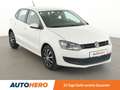 Volkswagen Polo 1.2 TSI Comfortline*SHZ*KLIMA*LM-FELGEN* Blanc - thumbnail 8