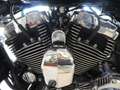 Harley-Davidson Sportster 1200 Anniversario Bronzo - thumbnail 7