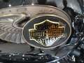 Harley-Davidson Sportster 1200 Anniversario Bronzo - thumbnail 10