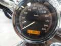 Harley-Davidson Sportster 1200 Anniversario Bronzo - thumbnail 8