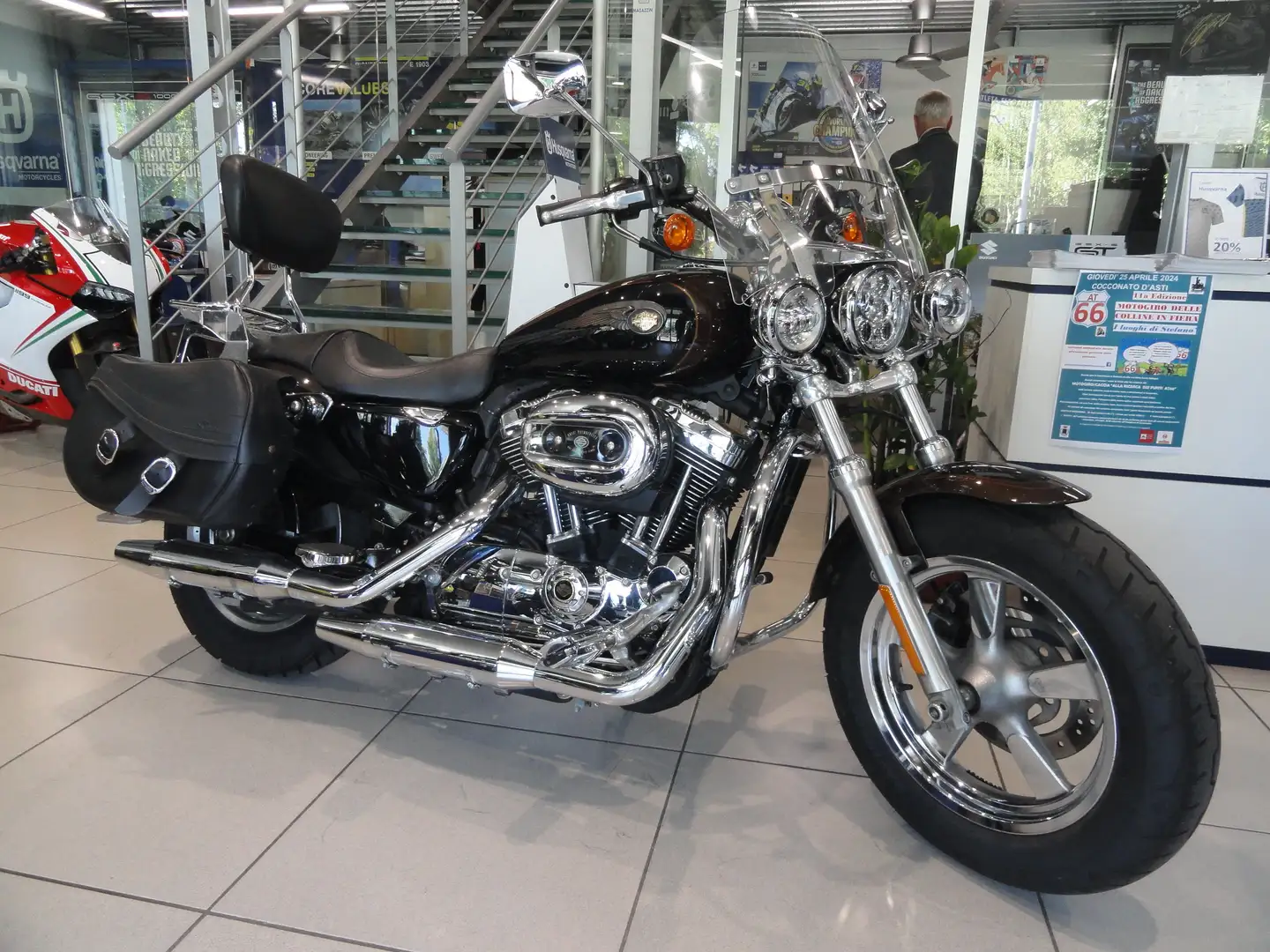 Harley-Davidson Sportster 1200 Anniversario Bronzo - 1