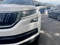Skoda Kodiaq 2.0 tdi evo scr Scout 4x4 dsg Blanc - thumbnail 19