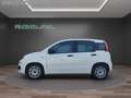 Fiat Panda 1.0 FireFly S&S Hybrid..PREZZO REALE... Bianco - thumbnail 4
