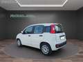 Fiat Panda 1.0 FireFly S&S Hybrid..PREZZO REALE... Bianco - thumbnail 5