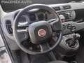Fiat Panda 1.0 FireFly S&S Hybrid..PREZZO REALE... Bianco - thumbnail 10